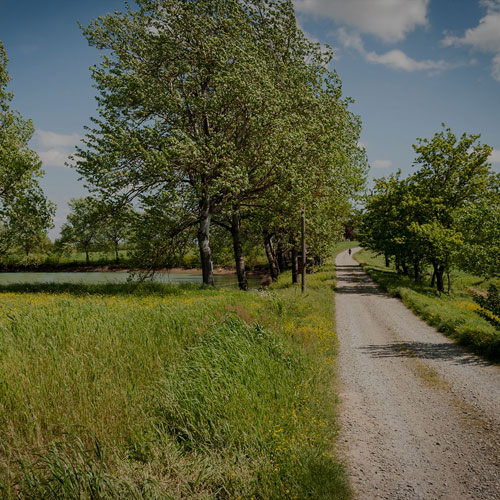 Cascina Bellaria